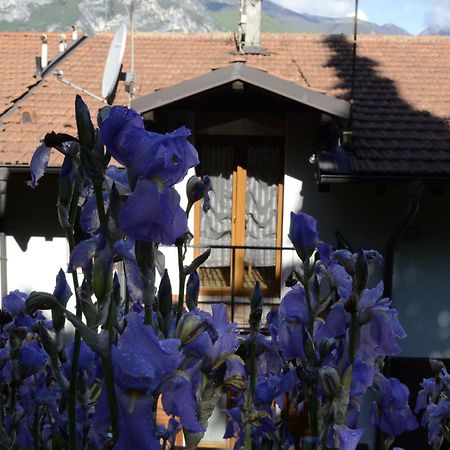 Appartamento Al Forte Torbole Sul Garda Екстер'єр фото