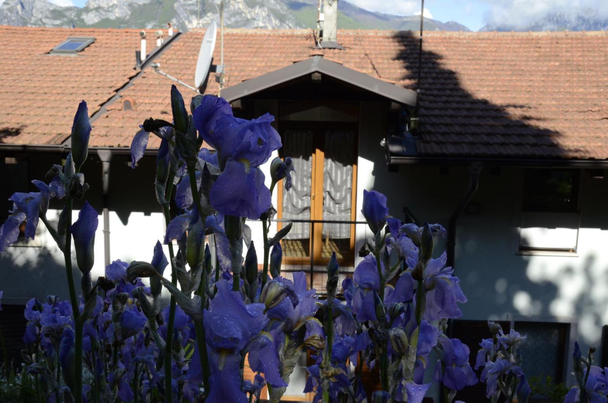 Appartamento Al Forte Torbole Sul Garda Екстер'єр фото